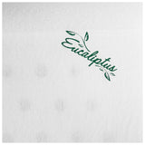 Almohada Latex Fibrasca Eucalipto 50x70 cms