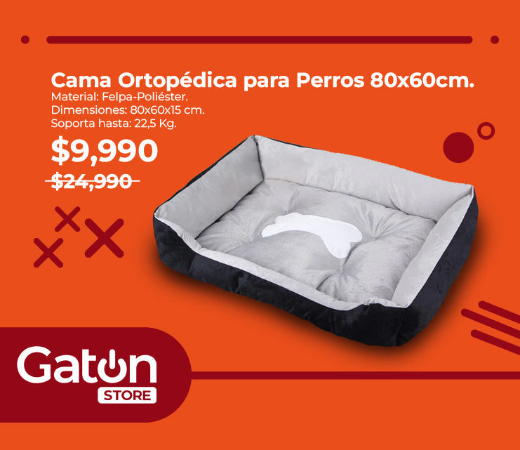 Gaton Store