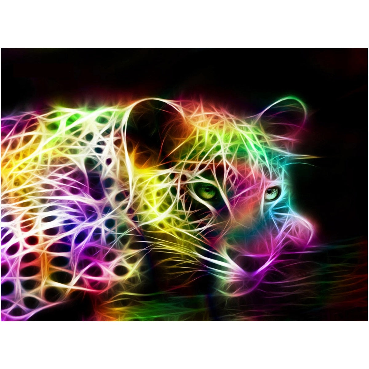 Pintura De Diamante 3D Multicolor Leopardo